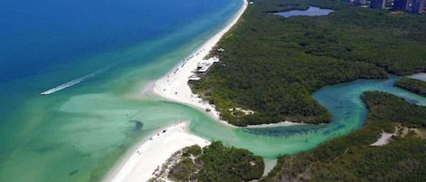 Ubicación cercana a la playa, tumbonas y toallas de playa