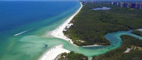 Playa en los alrededores, camastros y toallas de playa