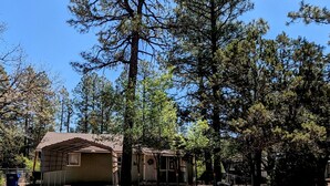 Une cabane rustique avec un toit en métal, entourée de grands pins et surplombée d’un ciel bleu clair.