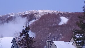 A residential area with houses, a clear sky, and a snow-covered hill in the background.