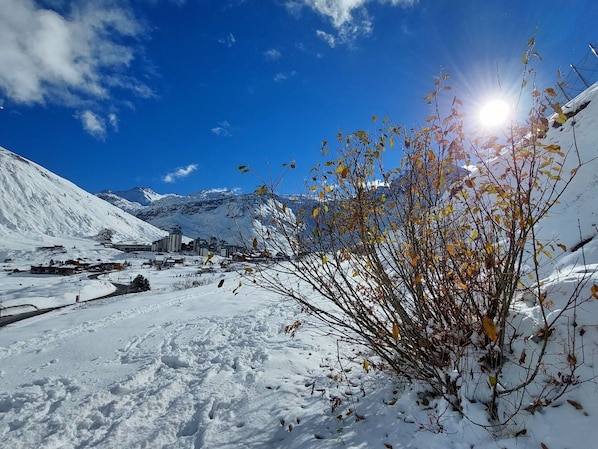 Sneeuw- en skisporten