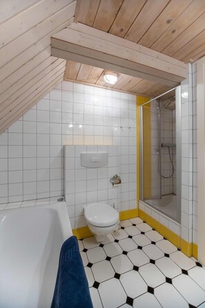 Shower, hair dryer, towels