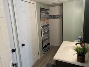 Bathroom features a sink, mirror, and shower with a potted plant on the counter.