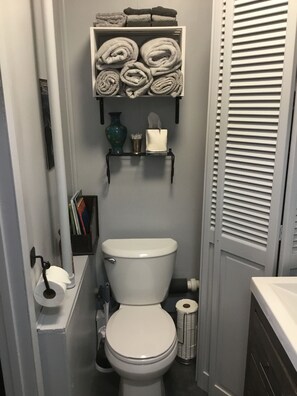 Douche, séchoir à cheveux, serviettes fournies, savon