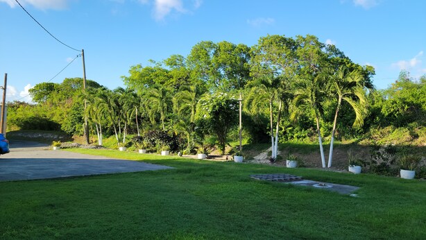 A grassy area with trees and a paved path. - Jane's Hideaway (Frederiksted)