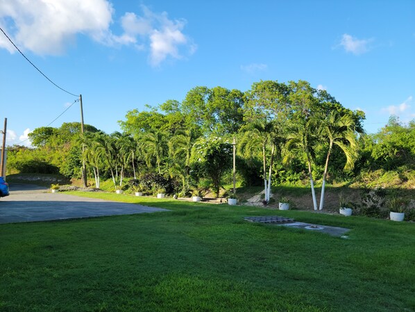 Property grounds - Jane's Hideaway (Frederiksted)