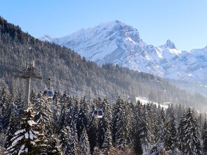 A cable car system in a snowy forest with a mountain in the background.