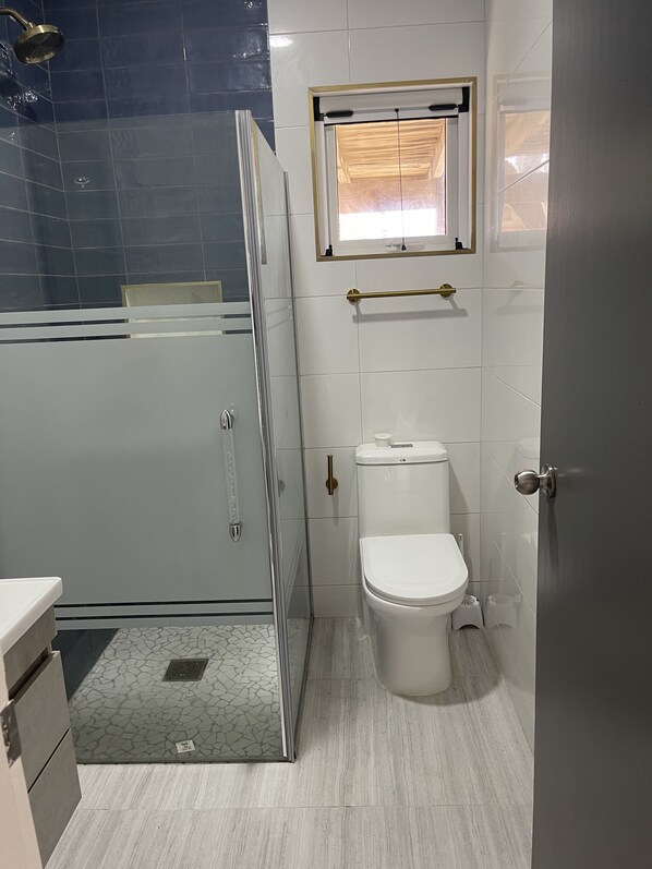 A bathroom with a shower, toilet, and a small window.