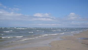 Plage à proximité, chaises longues, serviettes de plage