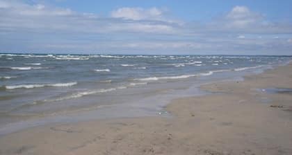 Suzy's Beach House (Walk to Beach)