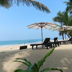Relax on the beach with comfortable sun loungers and umbrellas, surrounded by palm trees and the ocean.
