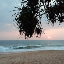Walking along the beach, guests can enjoy the tranquil atmosphere and stunning ocean views.