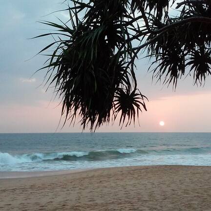 On the beach, sun loungers, beach towels