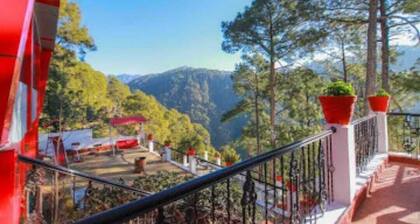 Ambience Hill Nainital