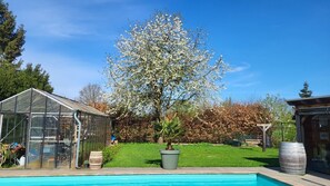 Outdoor pool - Very spacious and cosy holiday home (Venlo)