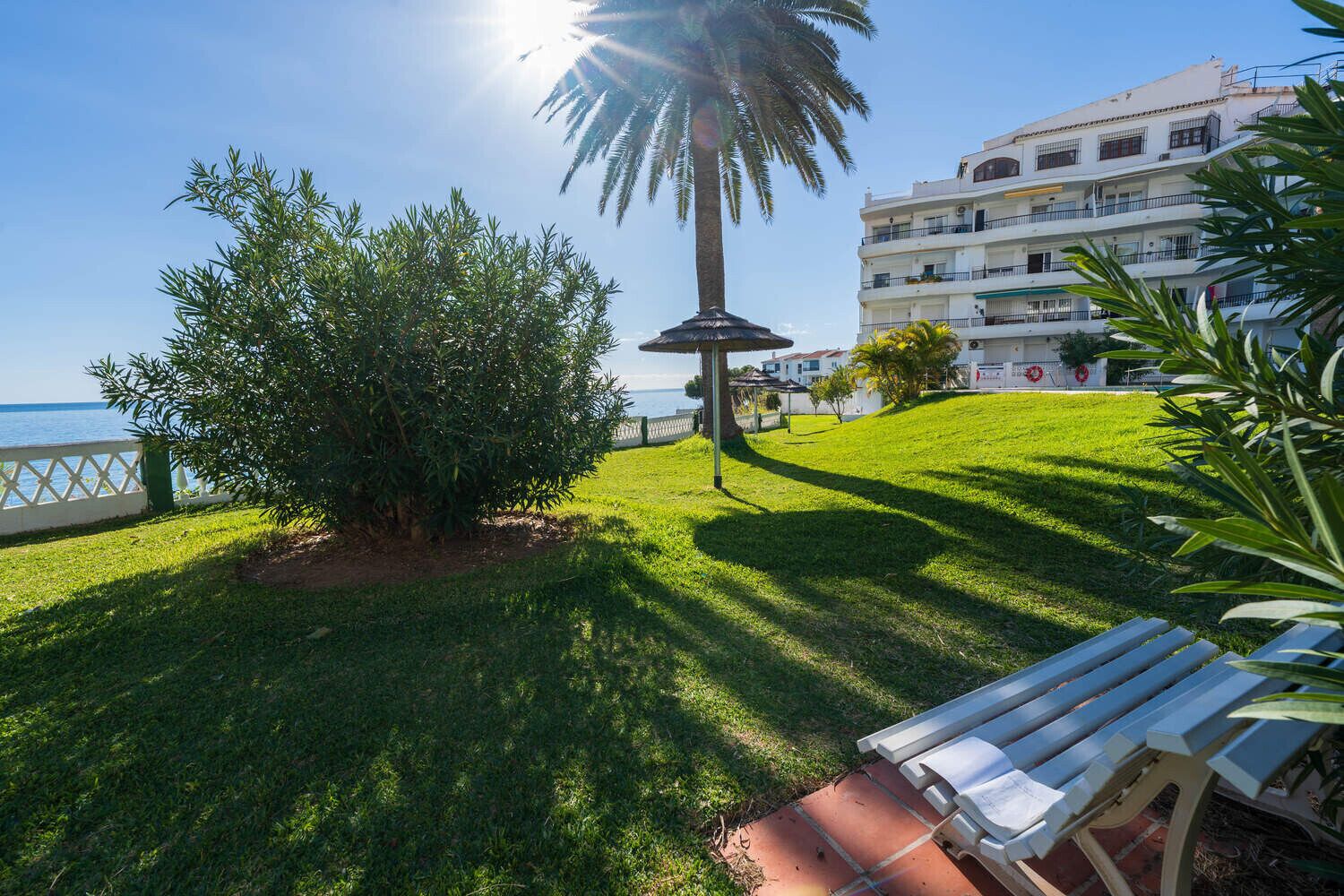 Un espacio verde con un banco, una palmera y un edificio con balcones.