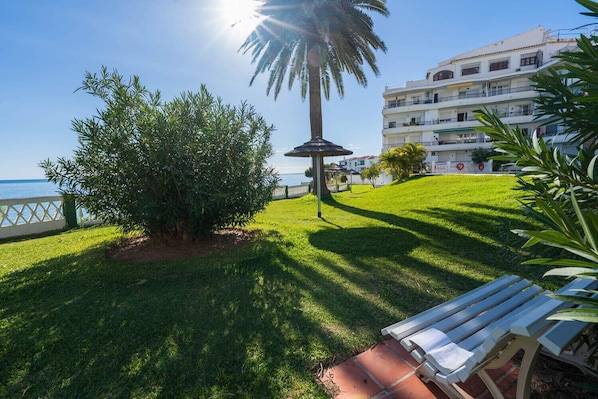 A grassy area with a bench, a palm tree, and a building with balconies.