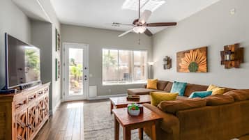 Télévision, cheminée, médiathÚque, vidéothÚque