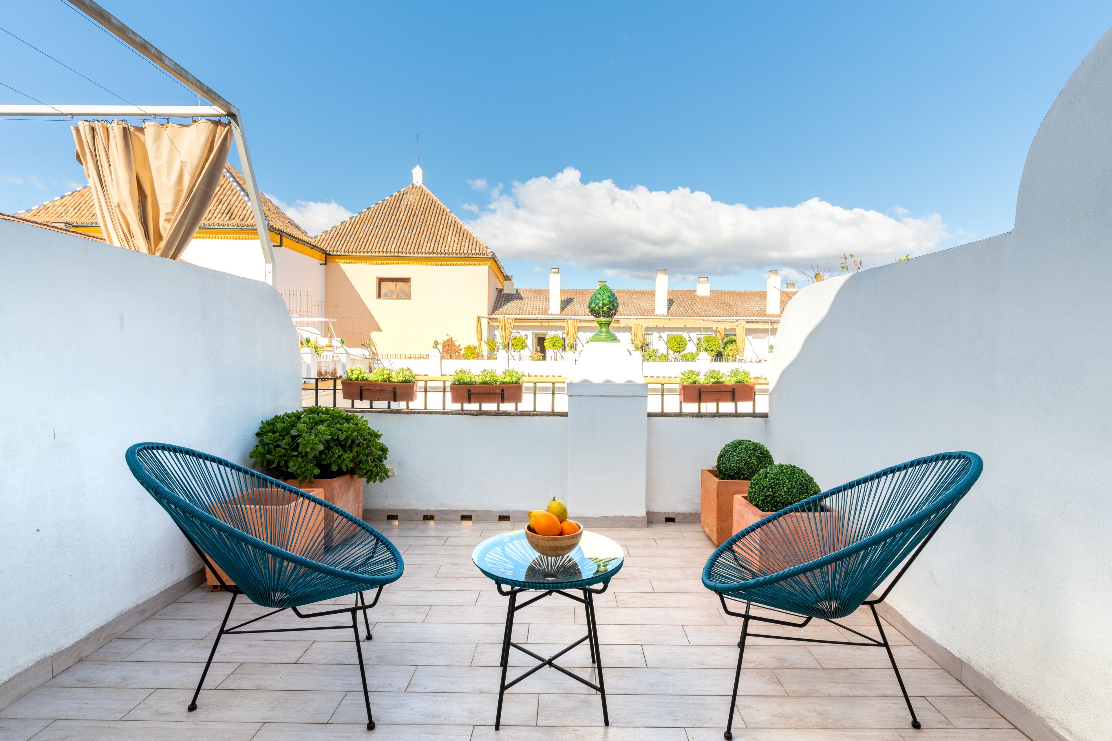 テラス / パティオ