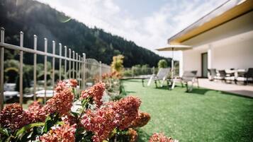 Àrea exterior de l'allotjament