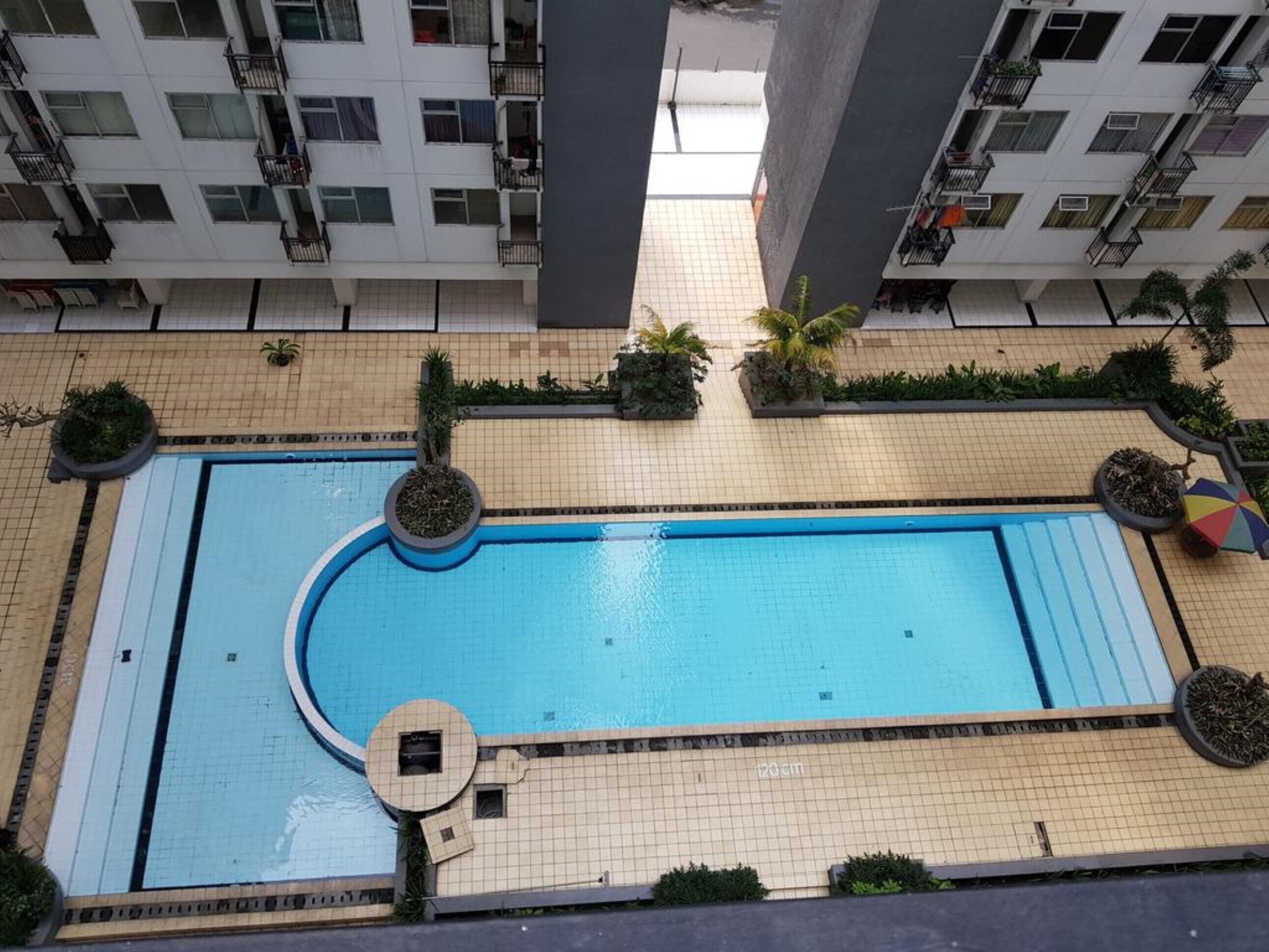 A rooftop swimming pool surrounded by greenery and modern buildings.
