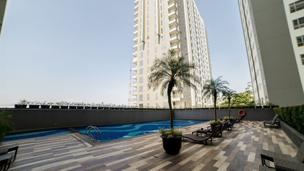 Un área de piscina en la azotea con sillones de descanso, una palmera y vistas a edificios altos.