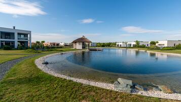 A modern building with a swimming pool, surrounded by a well-maintained lawn and a clear sky.