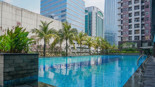 A swimming pool with a tiled edge, surrounded by palm trees and a concrete wall.