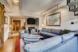 TV, fireplace, video games, books