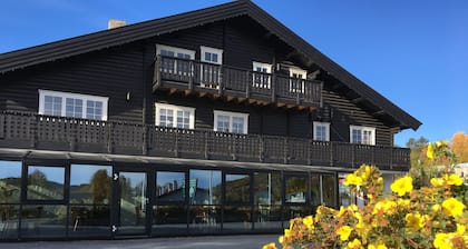 Ăen Turistsenter Apartments