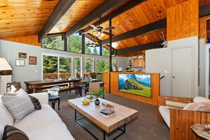 TV, fireplace, books