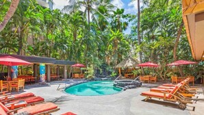 Un espace piscine agrémenté de chaises longues et de parasols, entouré de palmiers et offrant un cadre tropical.