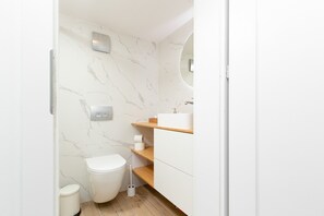 A modern bathroom with a toilet, sink, and mirror.