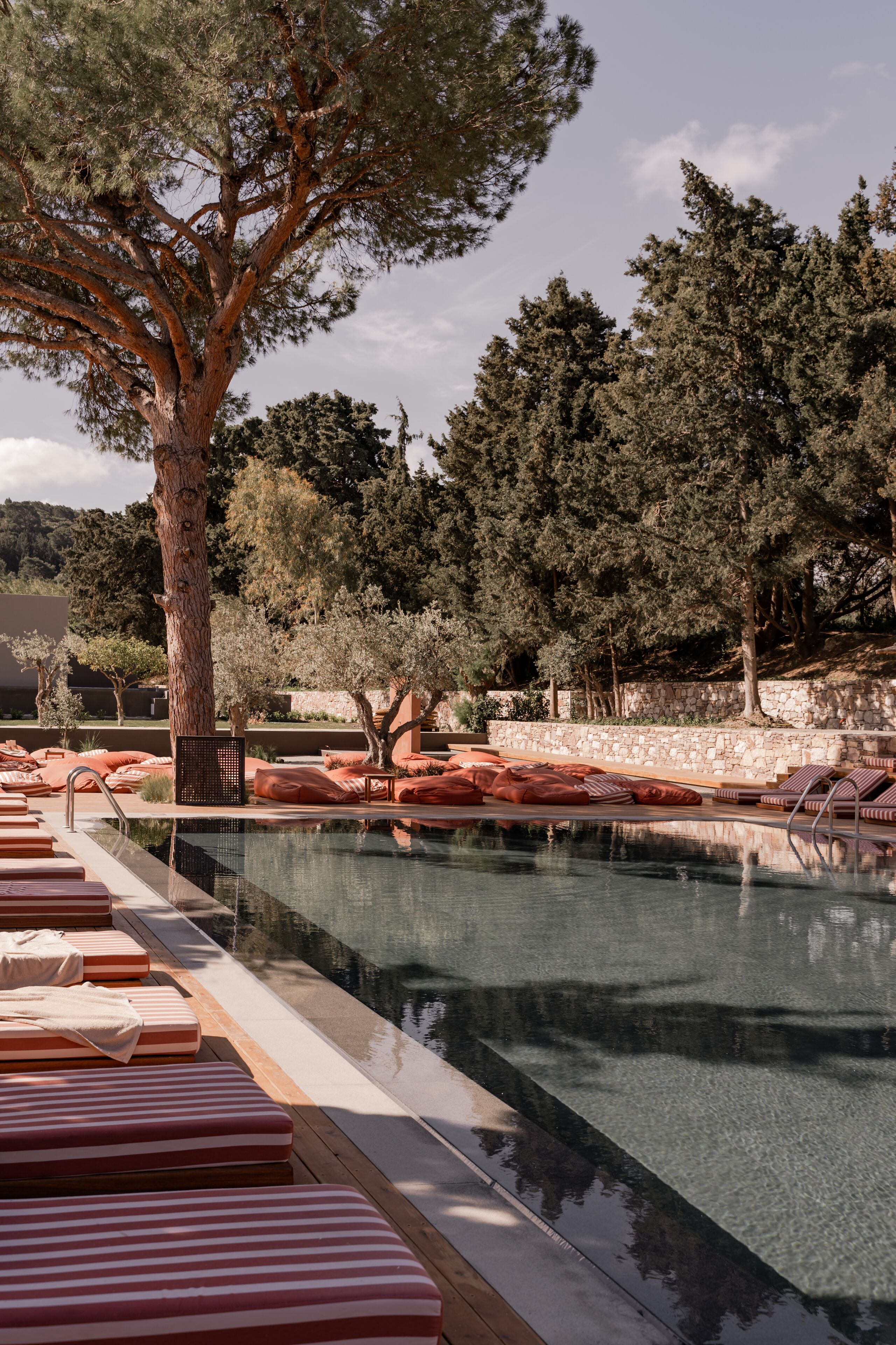 Zona de piscina con sillones de descanso y un árbol grande.