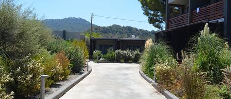 A pathway leading to a modern building with balconies, surrounded by landscaped gardens and a mountain in the background.