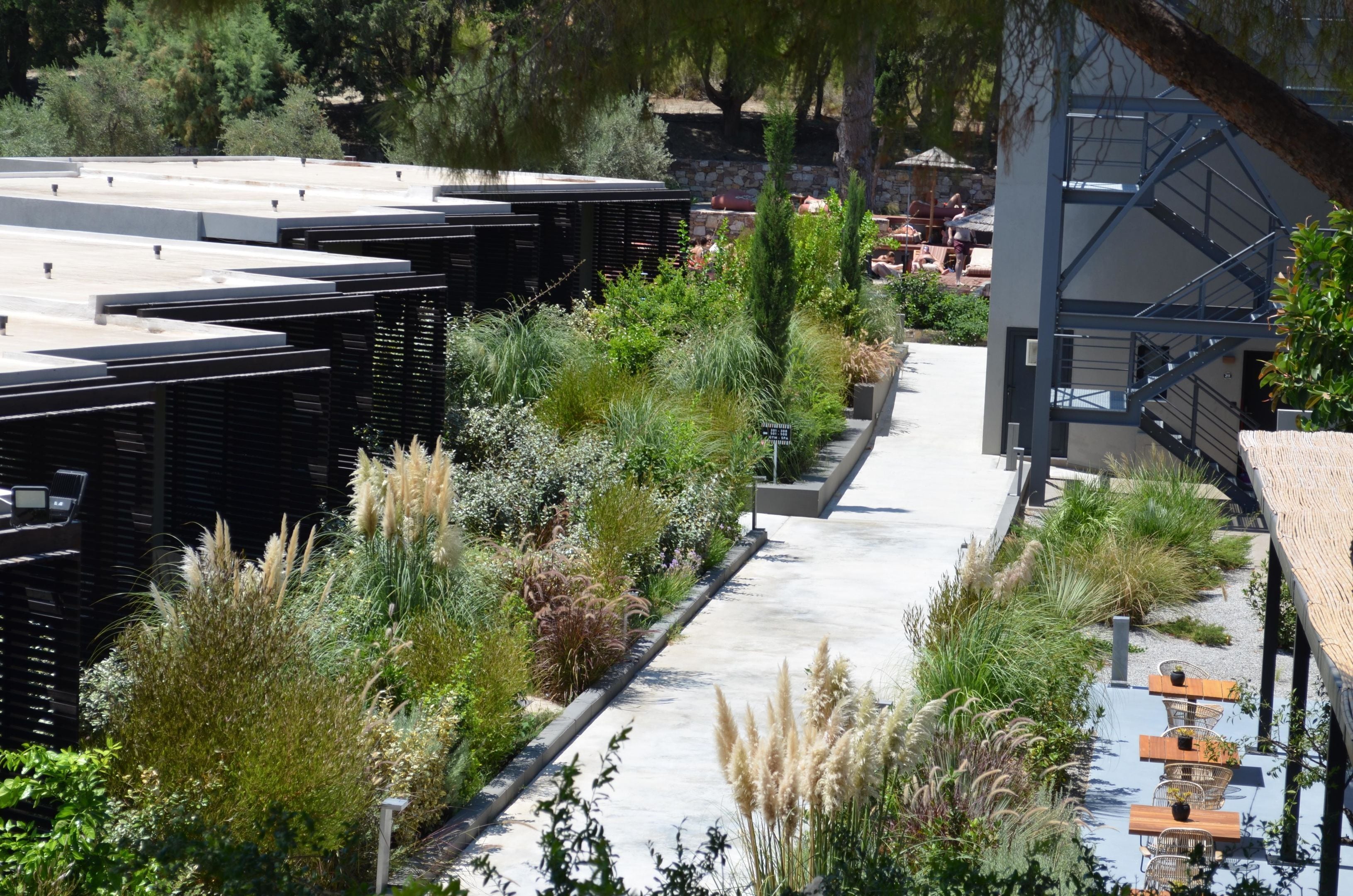 Un jardín en la azotea con plantas diversas y zonas de estar.