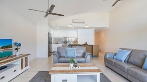 智能电视、DVD 播放器