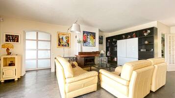 TV, fireplace, stereo