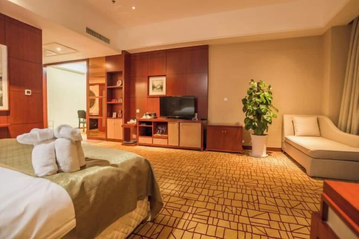 A hotel room with a bed, a sofa, a TV, a plant, and a desk.