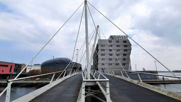 Een voetgangersbrug met een modern ontwerp, bestaande uit een metalen constructie en een looppad.