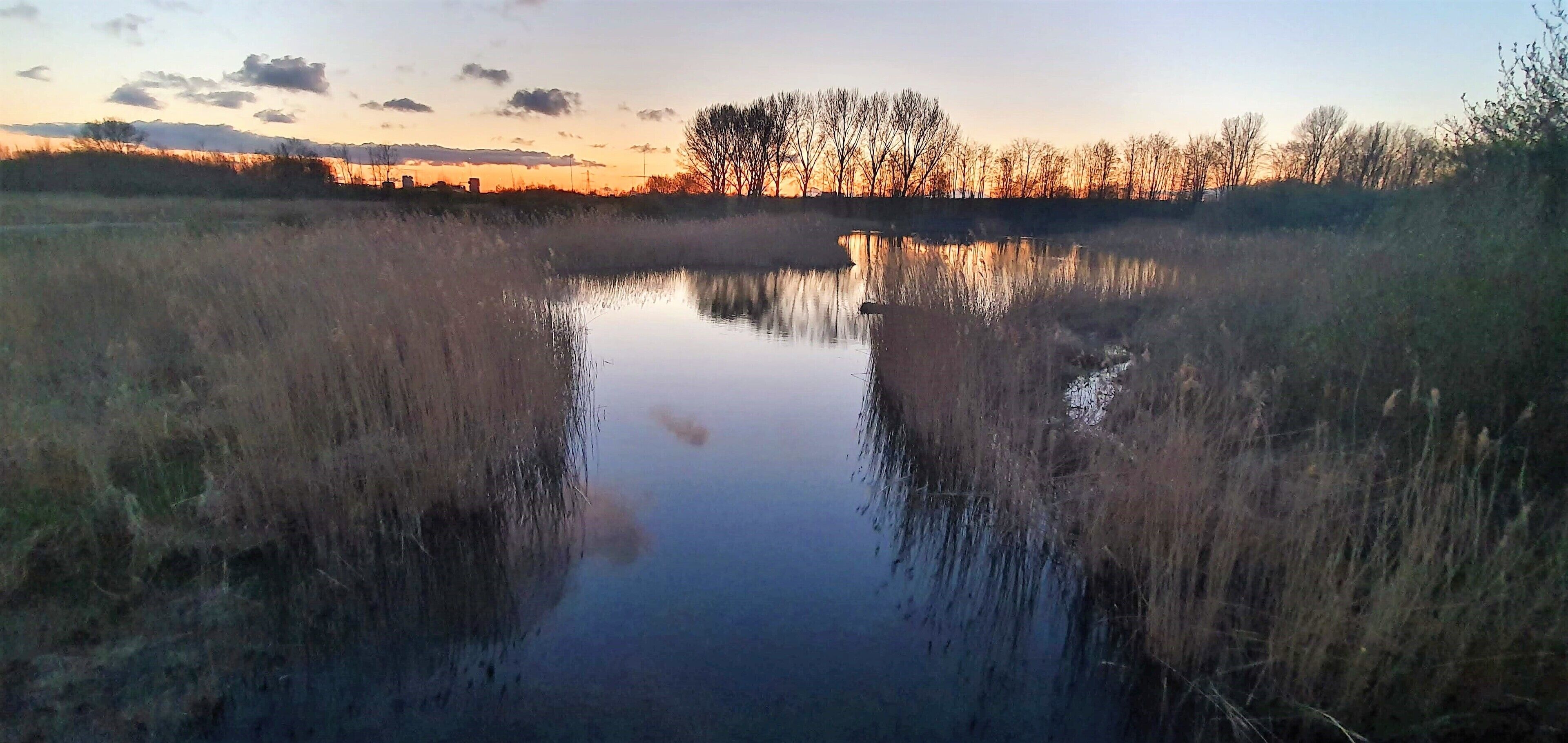 Ruhige Wasserfläche, die Bäume und einen klaren Himmel spiegelt.