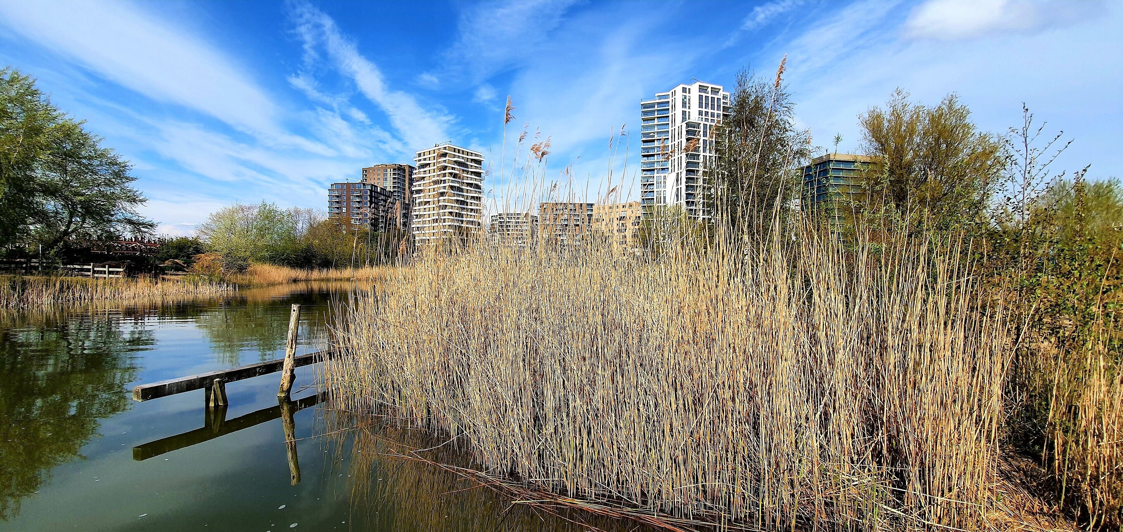 Uitzicht op een rivier met hoge gebouwen op de achtergrond en een houten steiger die in het water reikt.