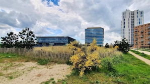 A modern building with a flat roof and large windows, surrounded by a grassy area with a wooden fence and yellow flowering bushes. - Brand new apartment, next to Amsterdam and Floriade 2022, free parkingspace. (Almere)