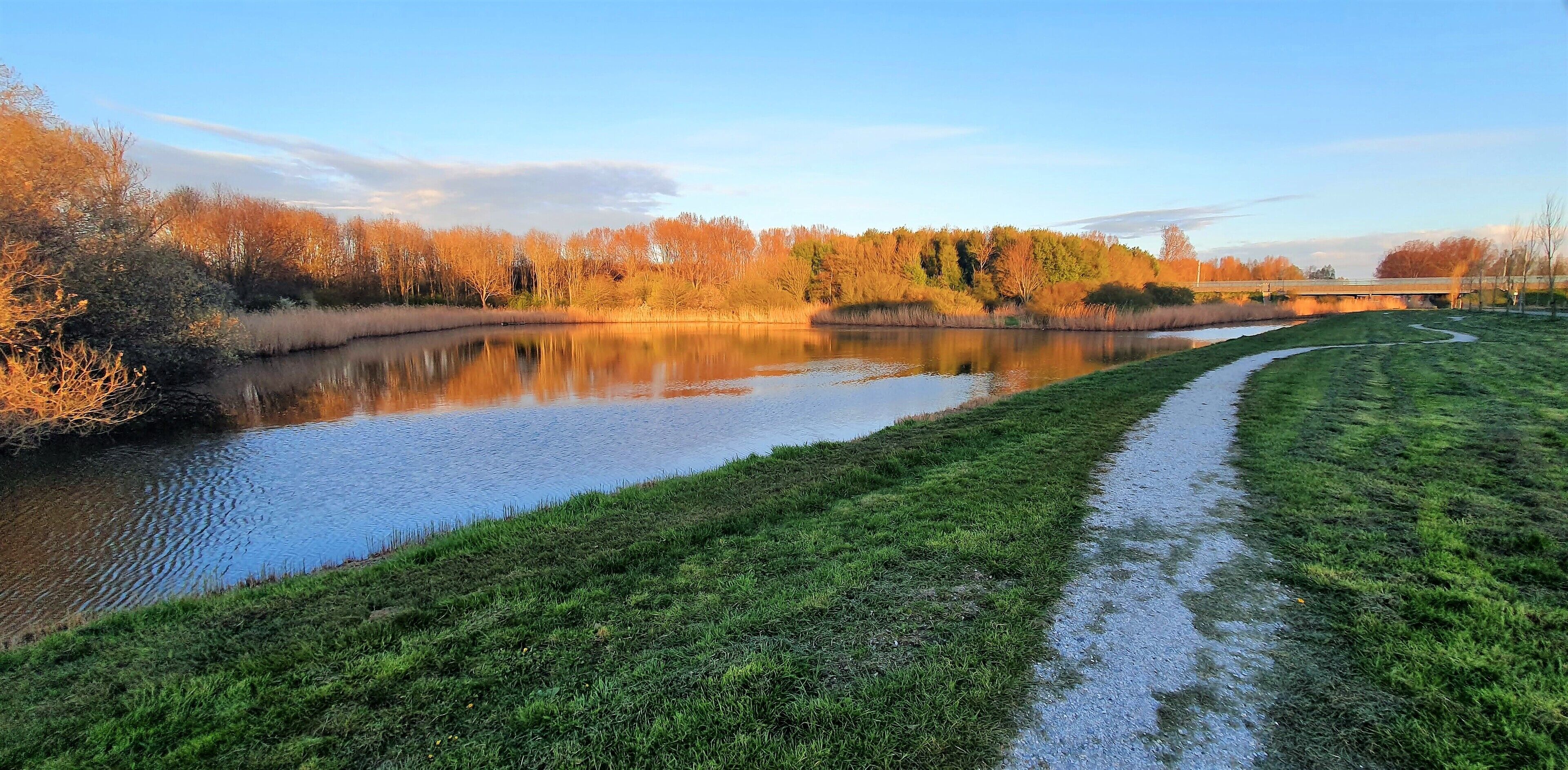 A serene riverside landscape with a grassy path and trees reflecting in the water.