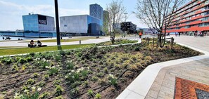 Terrain de l’hébergement 