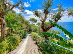 Un sentiero immerso nel verde, costeggiato da alberi, che conduce verso un corso d'acqua.