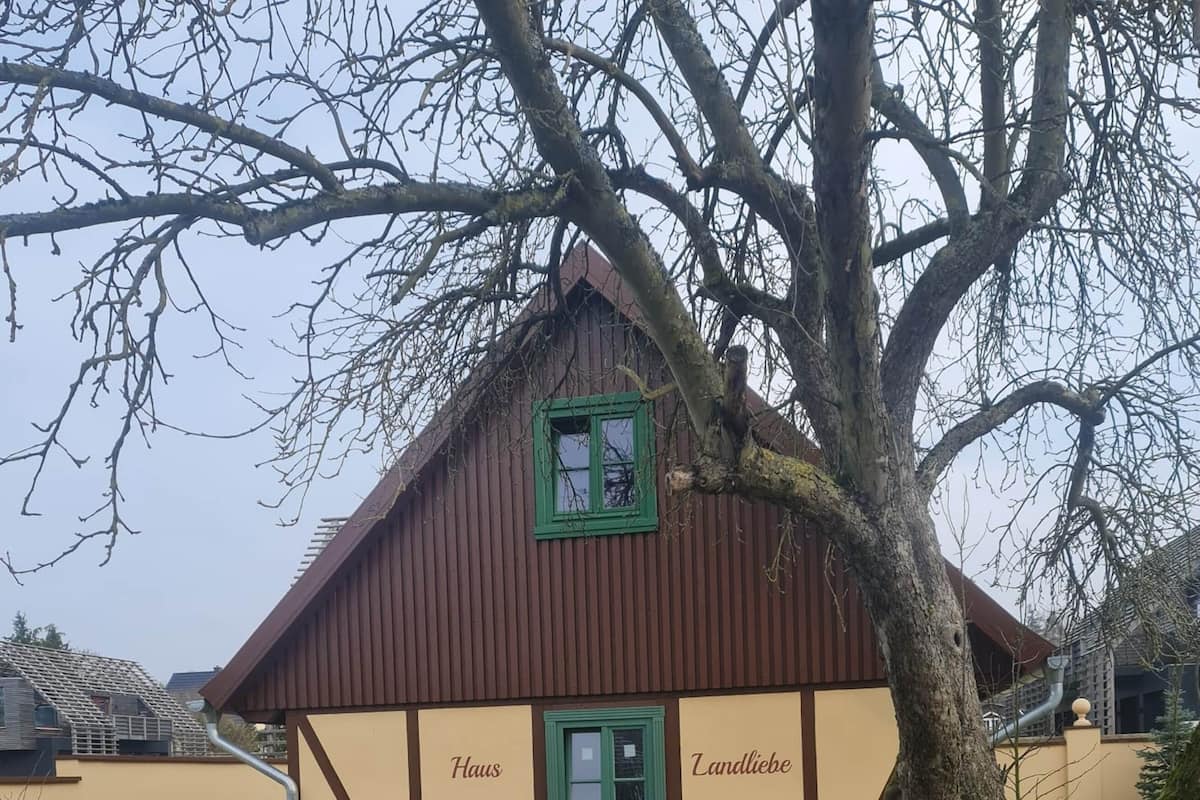 Ferienhaus, Sauna | 1 Schlafzimmer, individuell dekoriert, individuell eingerichtet