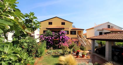 Near the beach, City center, Air-conditioned, Quiet location, Family-friendly