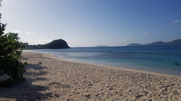 在海灘附近