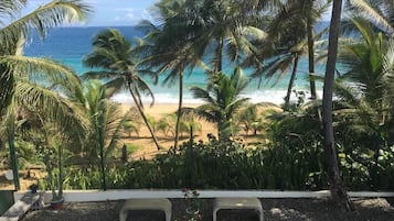 Vista desde la propiedad